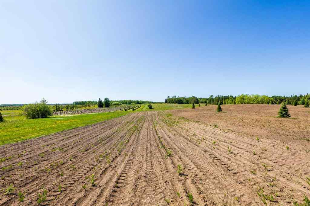 MLS® A2197351 - 272007 Twp Rd 452   in NONE Rural Wetaskiwin No. 10, County of, Agri-Business