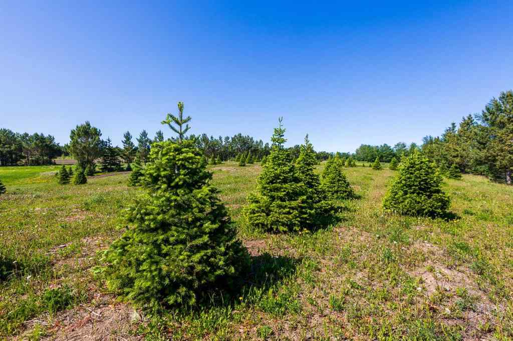 MLS® A2197351 - 272007 Twp Rd 452   in NONE Rural Wetaskiwin No. 10, County of, Agri-Business