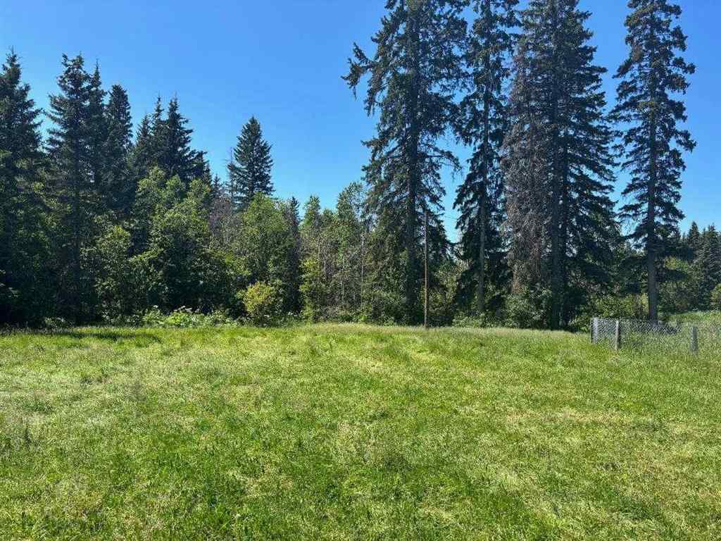 MLS® A2197926 - 452074 RR 73   in NONE Rural Wetaskiwin No. 10, County of, Agri-Business