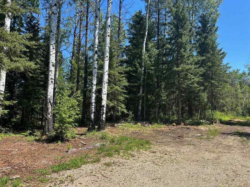 MLS® A2197926 - 452074 RR 73   in NONE Rural Wetaskiwin No. 10, County of, Agri-Business