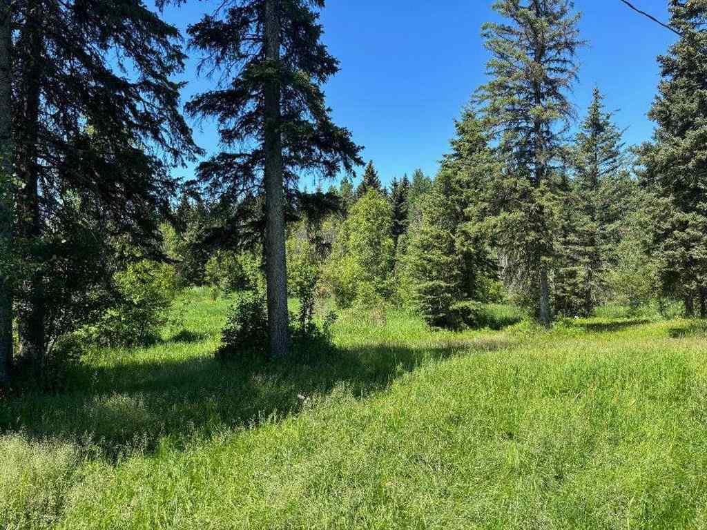MLS® A2197926 - 452074 RR 73   in NONE Rural Wetaskiwin No. 10, County of, Agri-Business