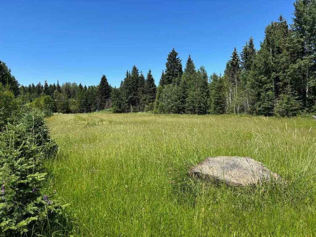 MLS® A2197926 - 452074 RR 73   in NONE Rural Wetaskiwin No. 10, County of, Agri-Business