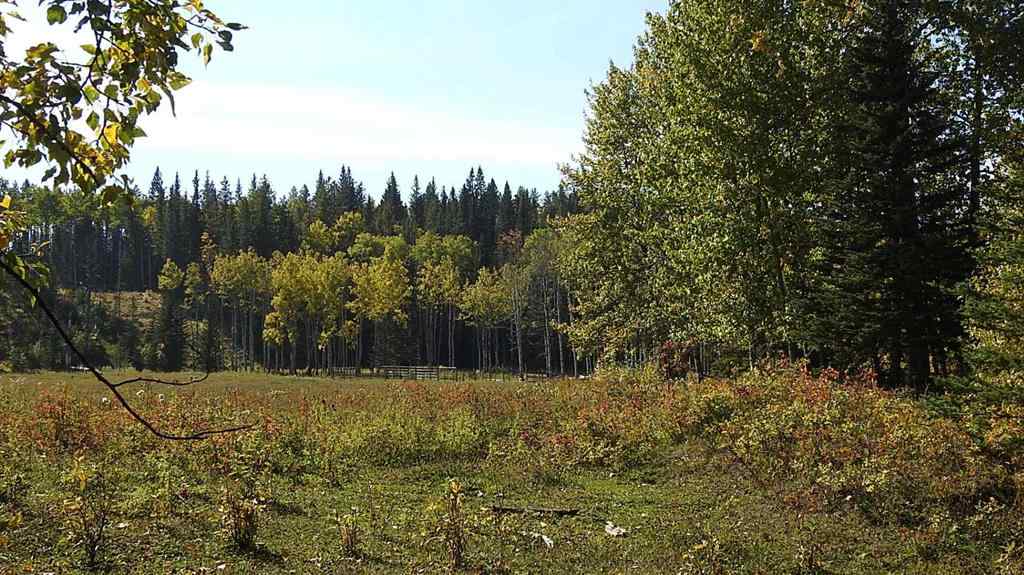 MLS® A2198444 - 108 Acres bordering Kananaskis   in NONE Rural Foothills County, Land