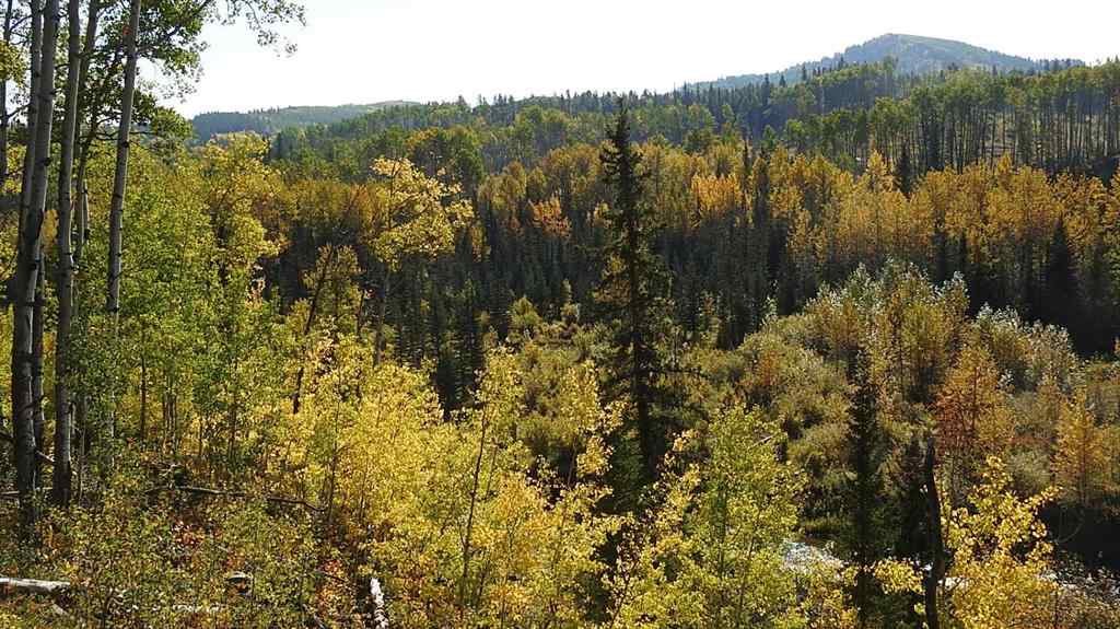 MLS® A2198444 - 108 Acres bordering Kananaskis   in NONE Rural Foothills County, Land