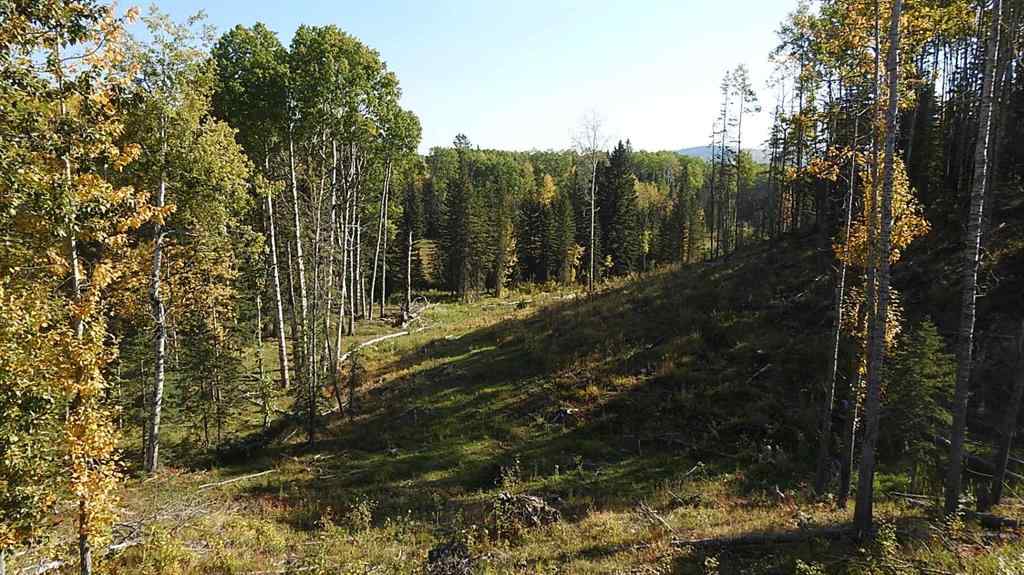 MLS® A2198444 - 108 Acres bordering Kananaskis   in NONE Rural Foothills County, Land