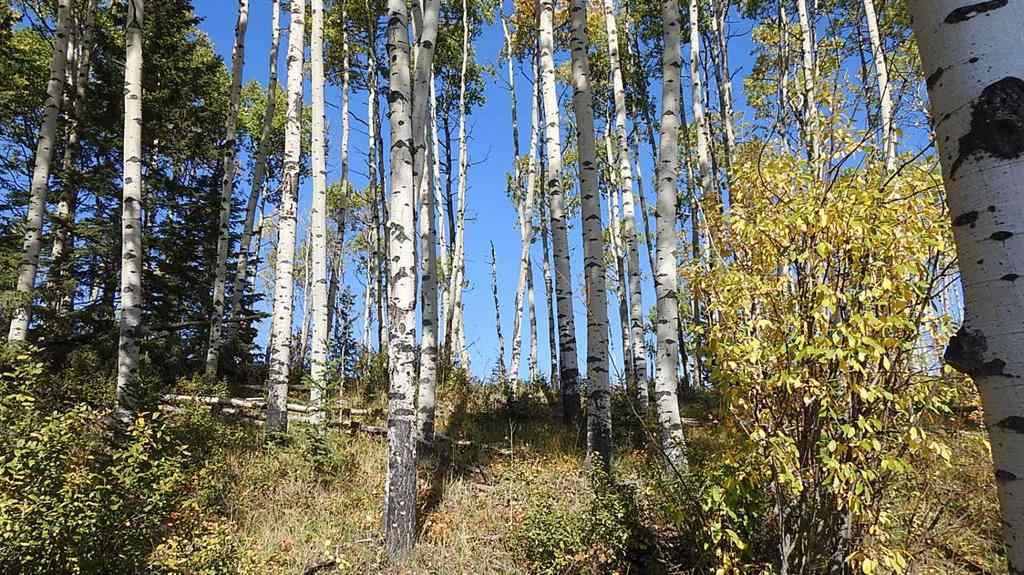 MLS® A2198444 - 108 Acres bordering Kananaskis   in NONE Rural Foothills County, Land