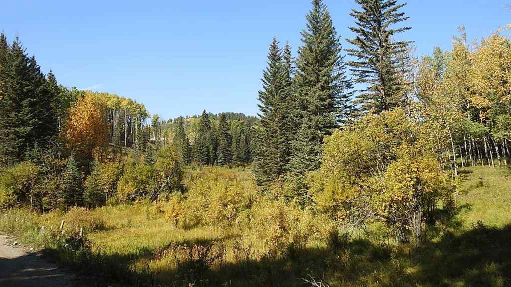 MLS® A2198444 - 108 Acres bordering Kananaskis   in NONE Rural Foothills County, Land