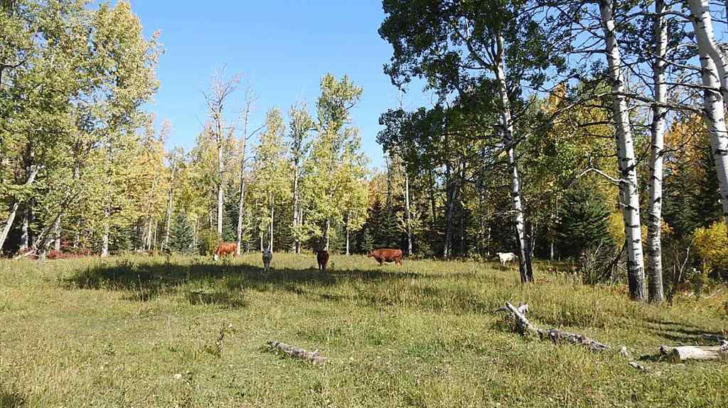 MLS® A2198444 - 108 Acres bordering Kananaskis   in NONE Rural Foothills County, Land