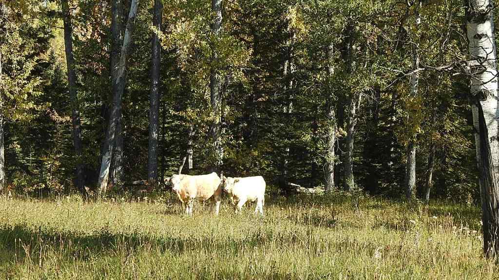 MLS® A2198444 - 108 Acres bordering Kananaskis   in NONE Rural Foothills County, Land