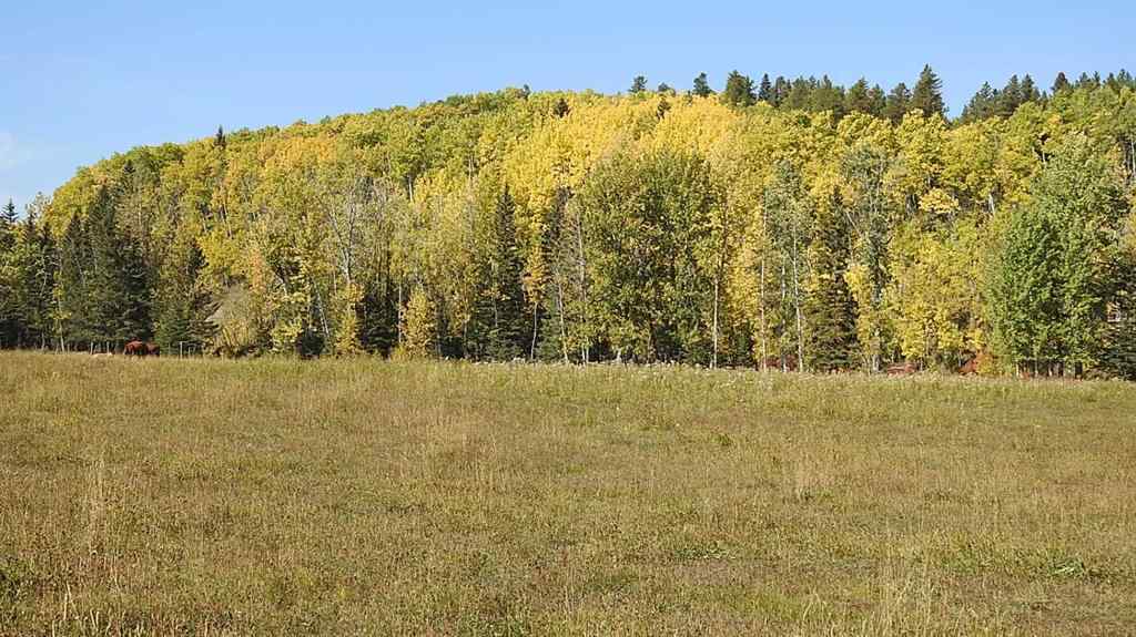 MLS® A2198444 - 108 Acres bordering Kananaskis   in NONE Rural Foothills County, Land
