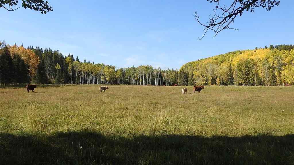 MLS® A2198444 - 108 Acres bordering Kananaskis   in NONE Rural Foothills County, Land
