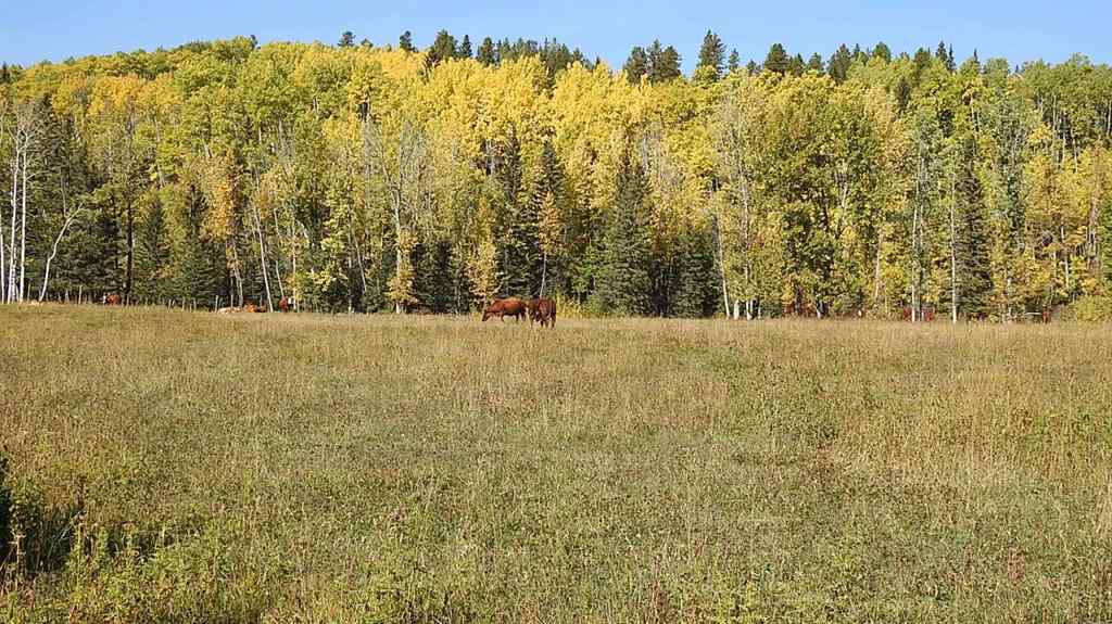 MLS® A2198444 - 108 Acres bordering Kananaskis   in NONE Rural Foothills County, Land
