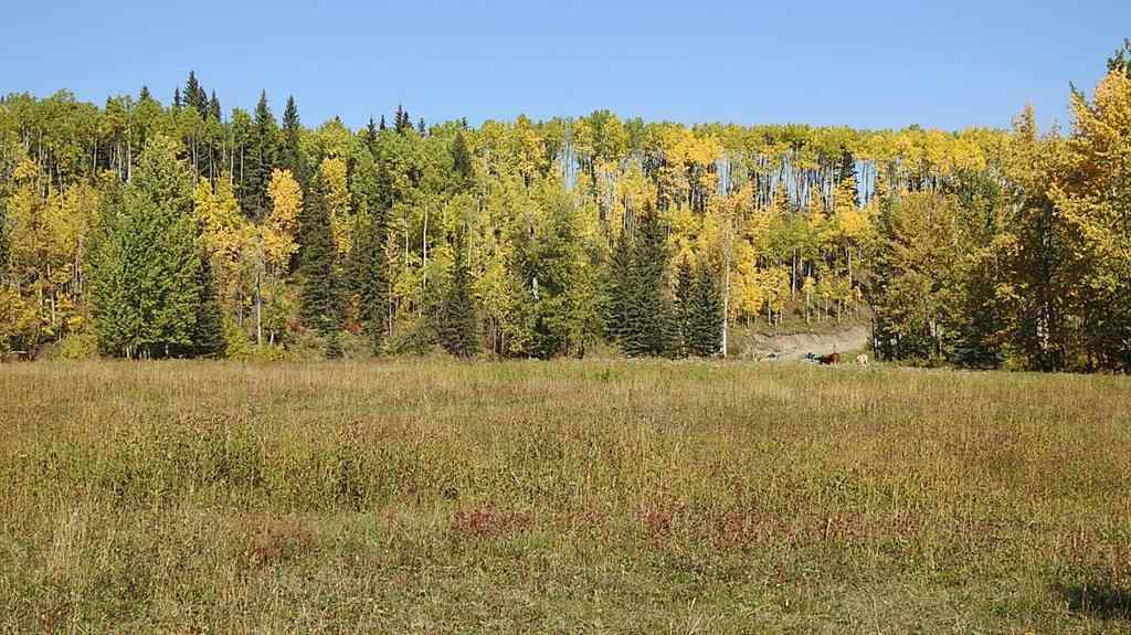 MLS® A2198444 - 108 Acres bordering Kananaskis   in NONE Rural Foothills County, Land