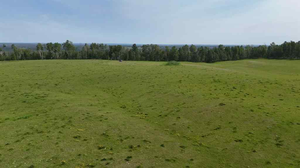 MLS® A2198954 - ON TWP 381 & RR 84   in NONE Rural Clearwater County, Agri-Business