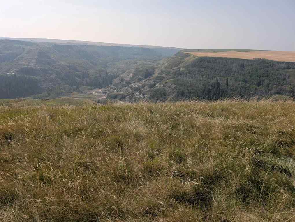 MLS® A2198956 -  223 Range  in NONE Rural Kneehill County, Agri-Business