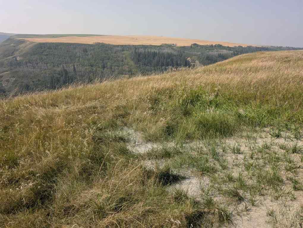 MLS® A2198956 -  223 Range  in NONE Rural Kneehill County, Agri-Business