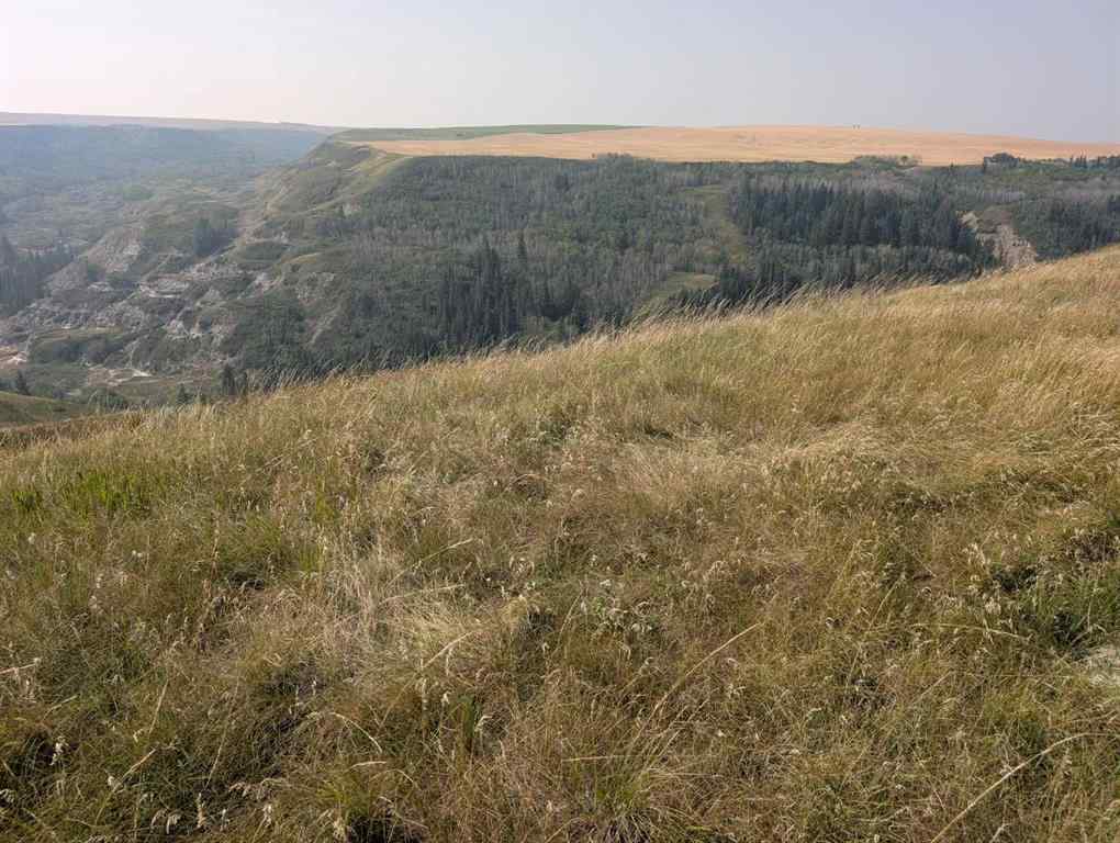MLS® A2198956 -  223 Range  in NONE Rural Kneehill County, Agri-Business