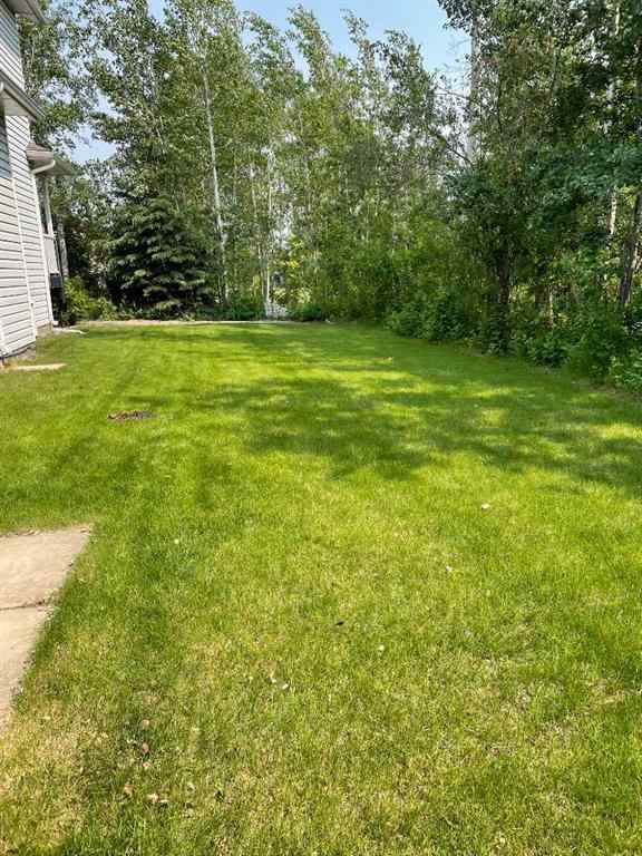 MLS® A2199284 - 10405 Chinchaga Drive  in NONE High Level, Residential