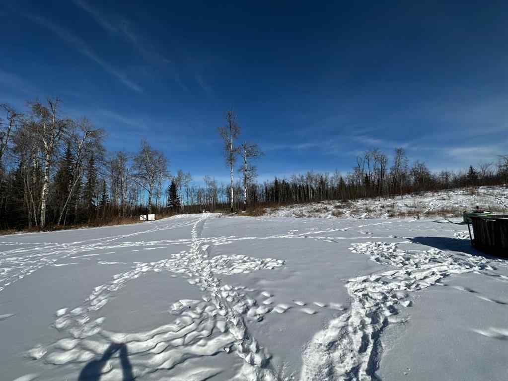 MLS® A2199399 - 4081 township road 792   in NONE Rycroft, Agri-Business