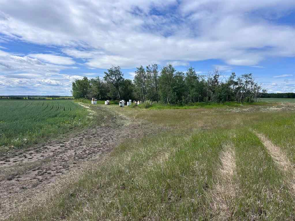 MLS® A2199434 - SE-15-73-5-W6 Range Road 52   in NONE Rural Grande Prairie No. 1, County of, Land