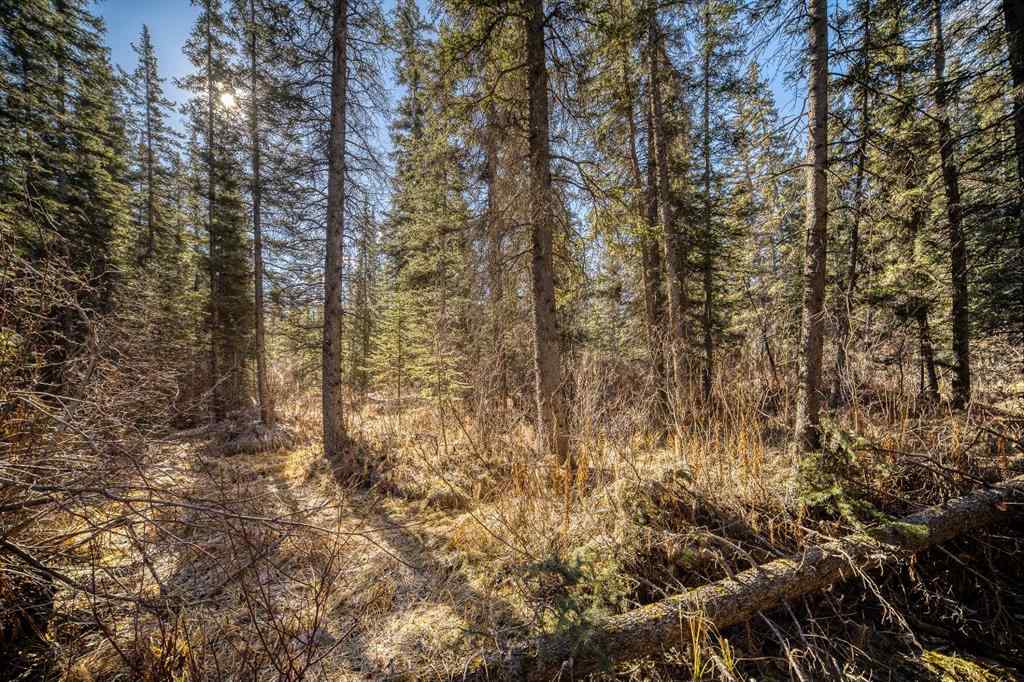 MLS® A2199487 - 20 Pinewood Crescent  in Town Centre_Canmore Canmore, Residential