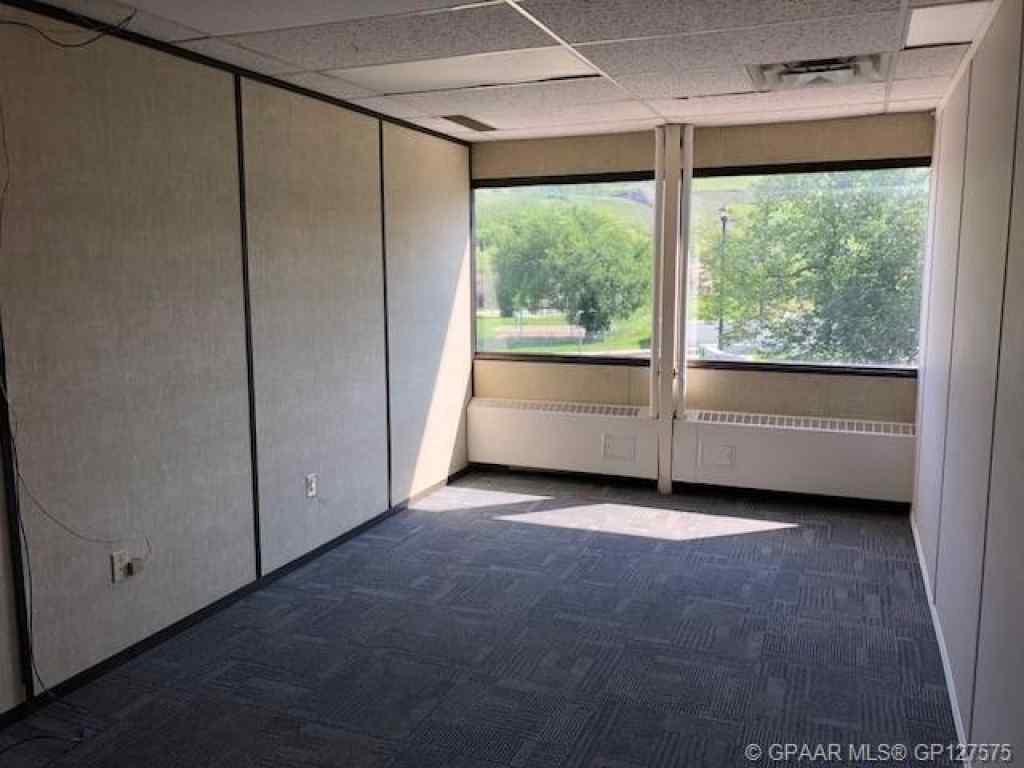MLS® A2199846 - Unit #207 10011 102 Avenue  in Downtown Peace River, Commercial