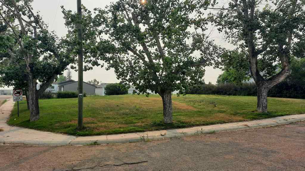 MLS® A2199888 - 114 Railway Avenue S in NONE Morrin, Land