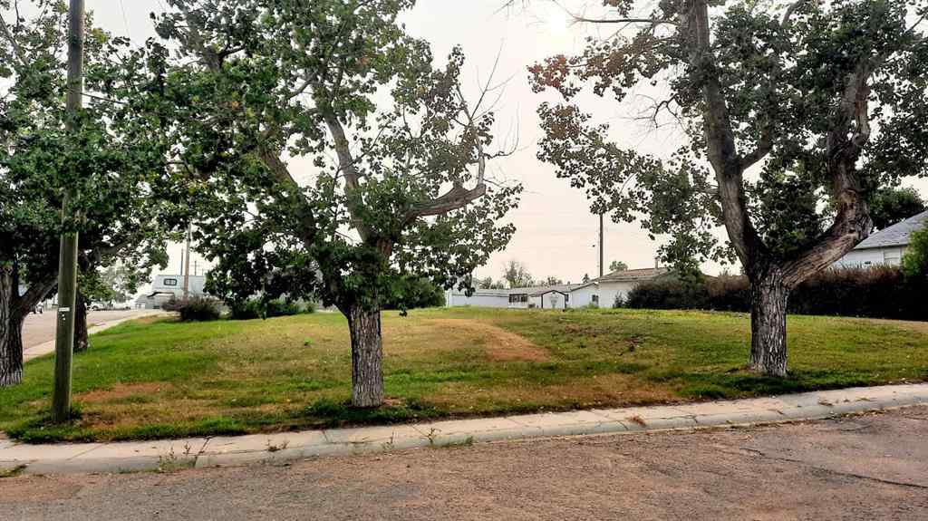 MLS® A2199888 - 114 Railway Avenue S in NONE Morrin, Land