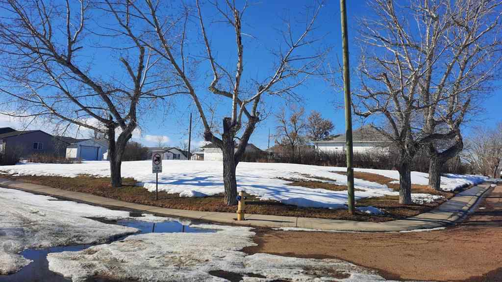 MLS® A2199888 - 114 Railway Avenue S in NONE Morrin, Land