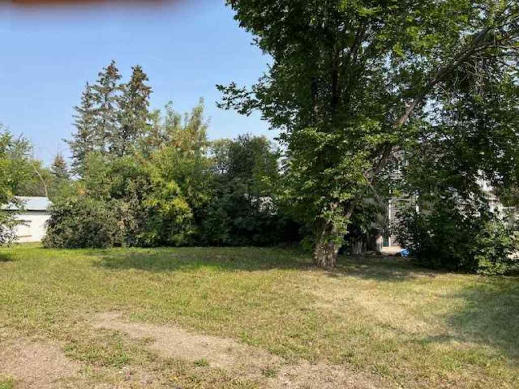 MLS® A2200301 - 5816 51 Avenue  in Rosedale Stettler, Land