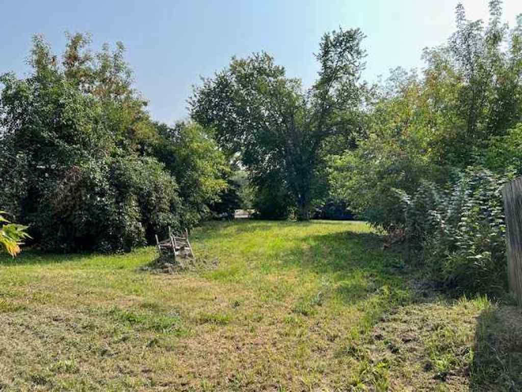 MLS® A2200301 - 5816 51 Avenue  in Rosedale Stettler, Land