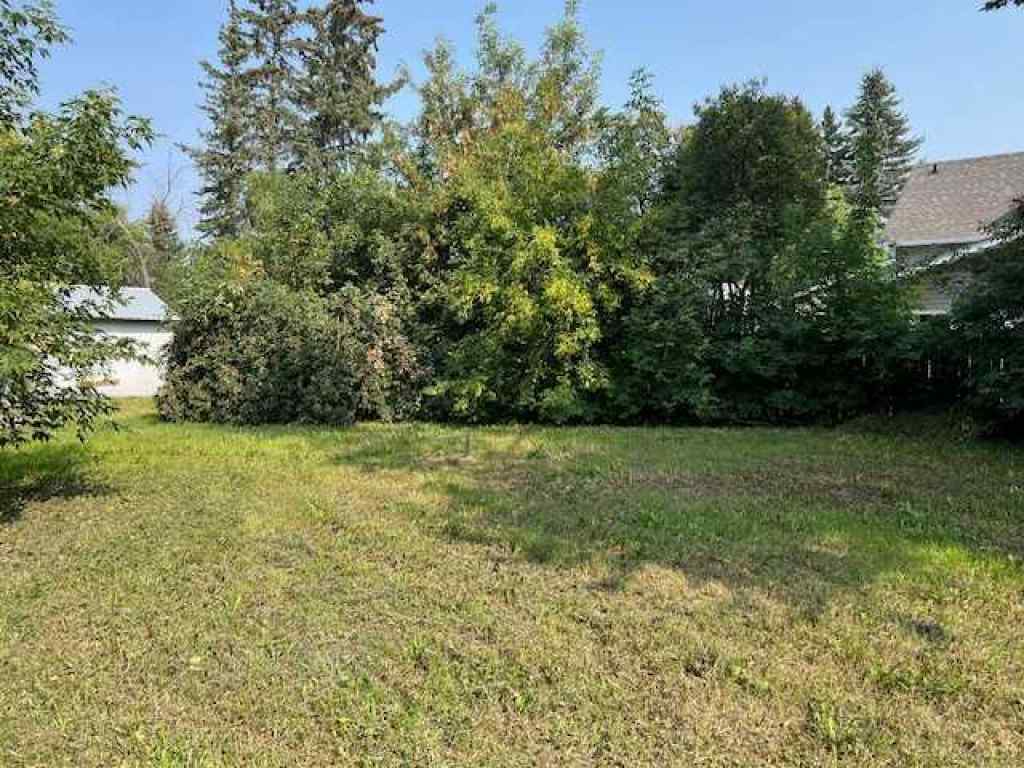 MLS® A2200301 - 5816 51 Avenue  in Rosedale Stettler, Land