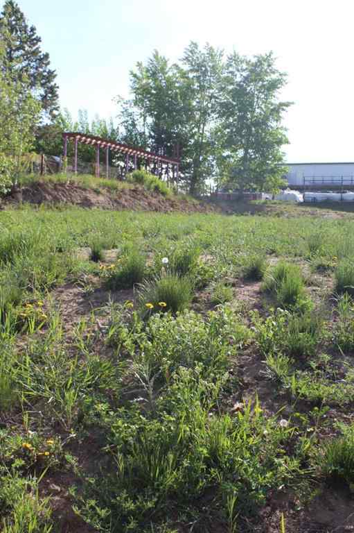 MLS® A2200651 - 202 4th Avenue  in NONE Manning, Land