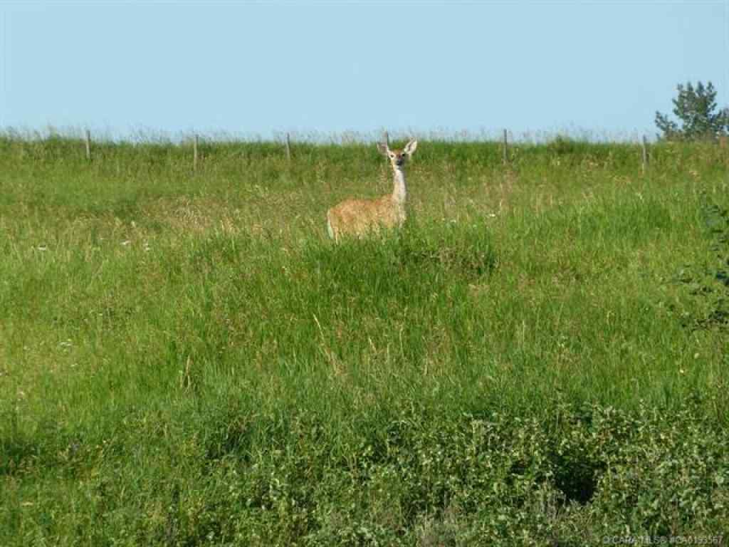 MLS® A2201488 - Unit #9 420069 Range Road 284   in Grandview Estates Rural Ponoka County, Land