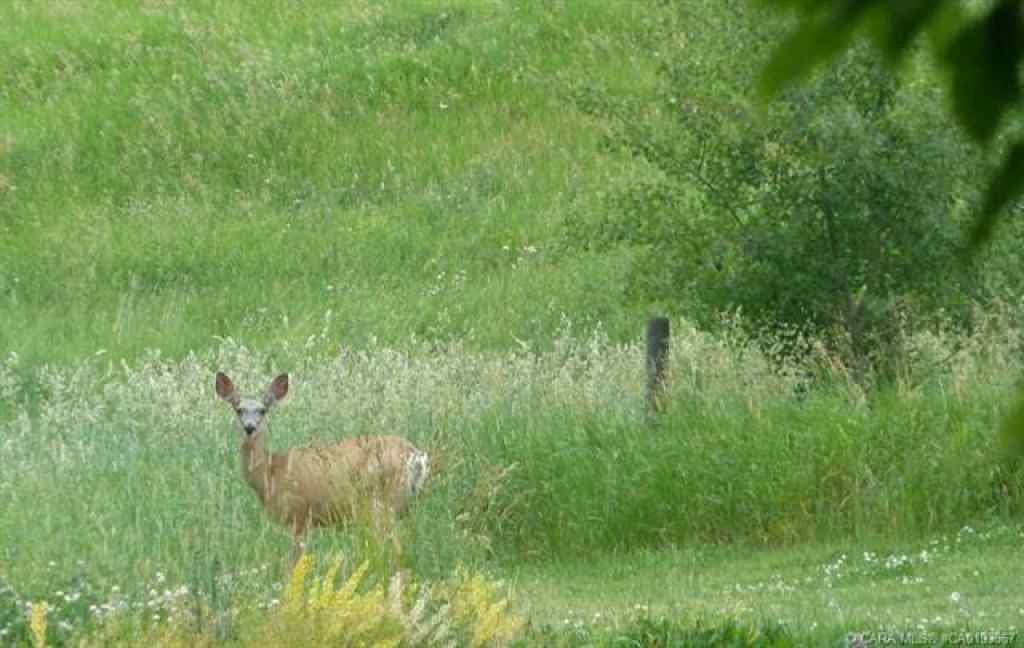 MLS® A2201488 - Unit #9 420069 Range Road 284   in Grandview Estates Rural Ponoka County, Land