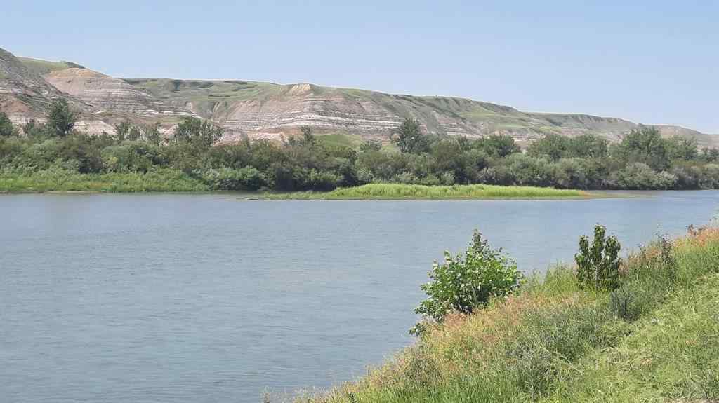 MLS® A2201565 - 227 6 Street  in East Coulee Drumheller, Residential