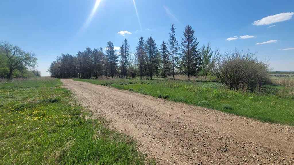 MLS® A2201874 - 39114 Highway 36   in NONE Rural Paintearth No. 18, County of, Agri-Business