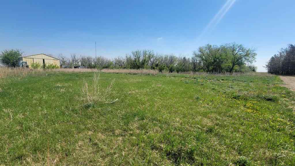 MLS® A2201874 - 39114 Highway 36   in NONE Rural Paintearth No. 18, County of, Agri-Business