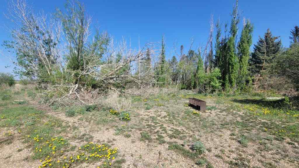 MLS® A2201874 - 39114 Highway 36   in NONE Rural Paintearth No. 18, County of, Agri-Business