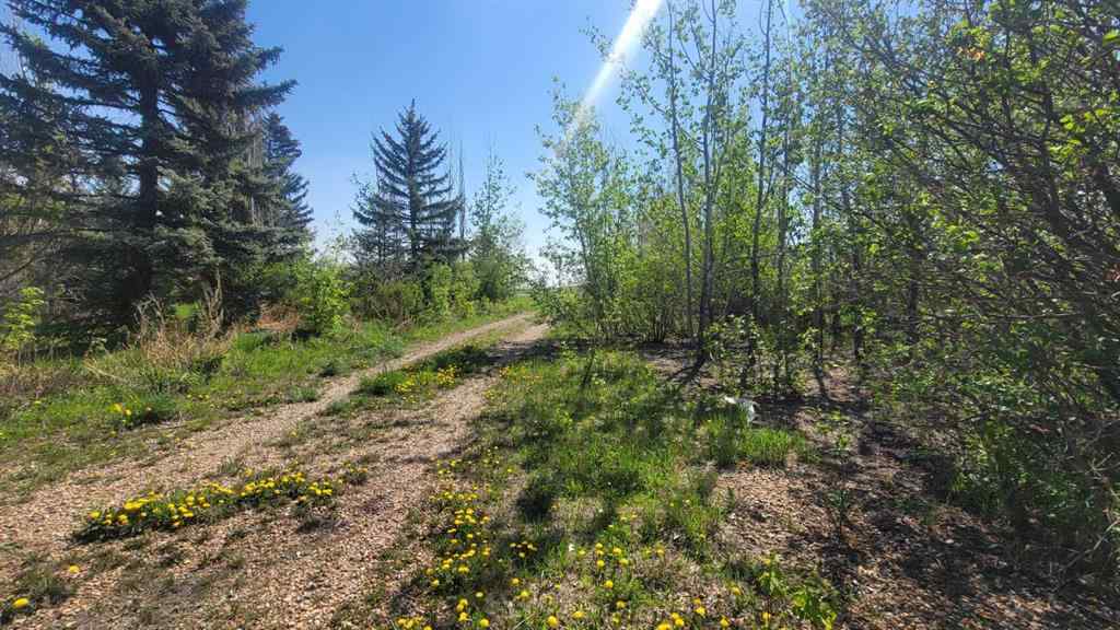 MLS® A2201874 - 39114 Highway 36   in NONE Rural Paintearth No. 18, County of, Agri-Business