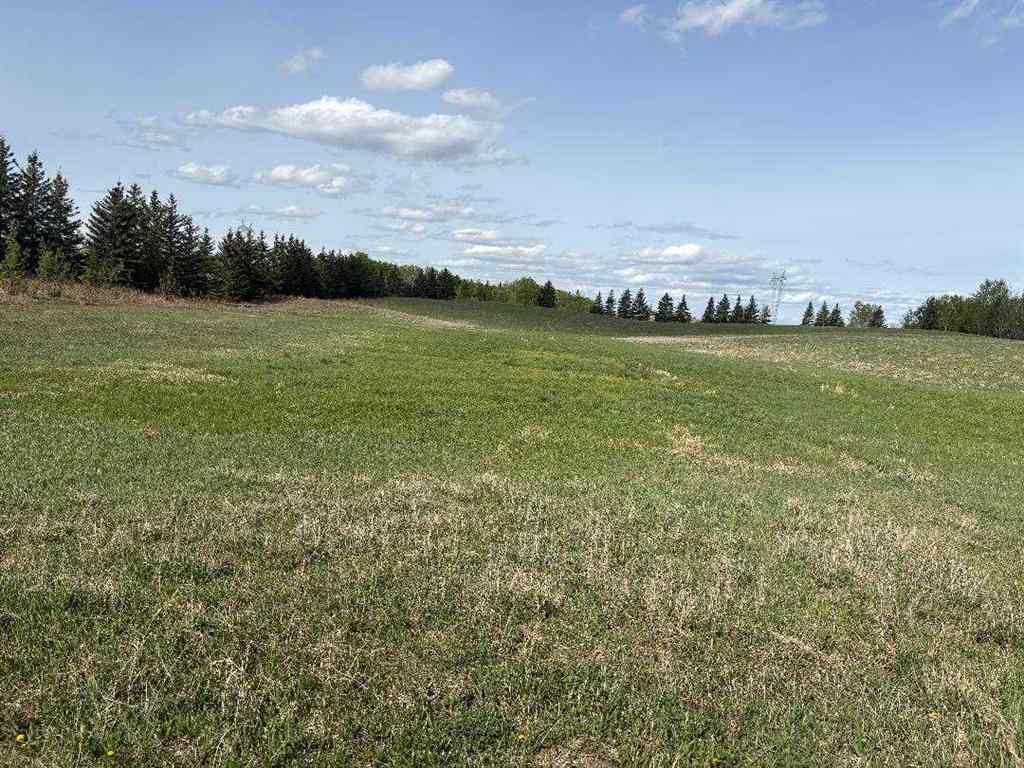 MLS® A2202125 - TWP 512A RR 31   in NONE Rural Leduc County, Land