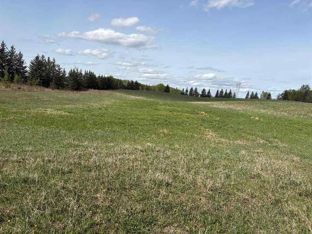 MLS® A2202125 - TWP 512A RR 31   in NONE Rural Leduc County, Land