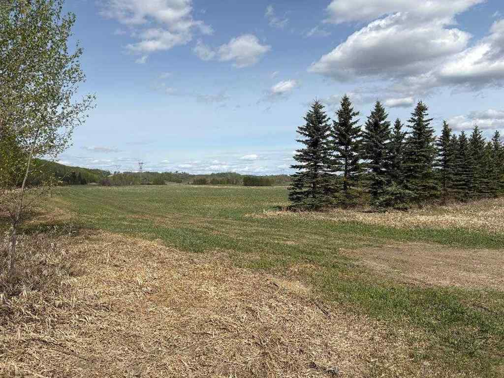 MLS® A2202125 - TWP 512A RR 31   in NONE Rural Leduc County, Land