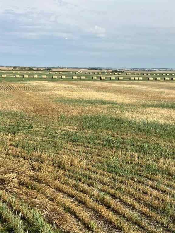 MLS® A2202556 - Range RD 14 Road 14   in NONE Rural Rocky View County, Land