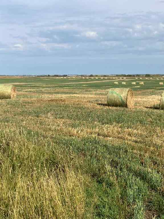 MLS® A2202556 - Range RD 14 Road 14   in NONE Rural Rocky View County, Land