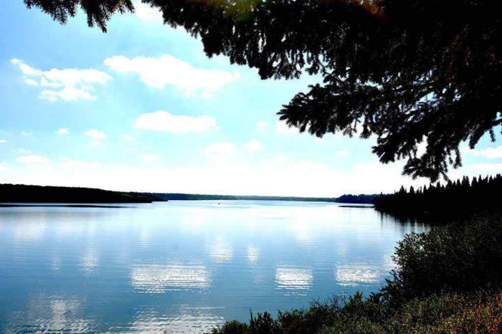 MLS® A2203141 - Unit #29 25054 South Pine Lake Road   in Sandy Cove Rural Red Deer County, Land