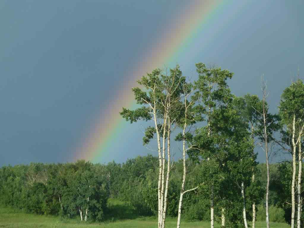 MLS® A2203239 - Unit #26 420069 Range Road 284   in Grandview Estates Rural Ponoka County, Land