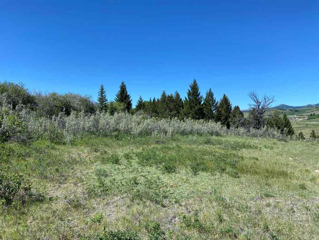 MLS® A2203372 - 6 Rustler's Ridge   in NONE Rural Pincher Creek No. 9, M.D. of, Land