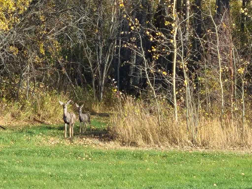 MLS® A2203465 - Unit #Lot 13 70539 RR250   in NONE Rural Greenview No. 16, M.D. of, Residential