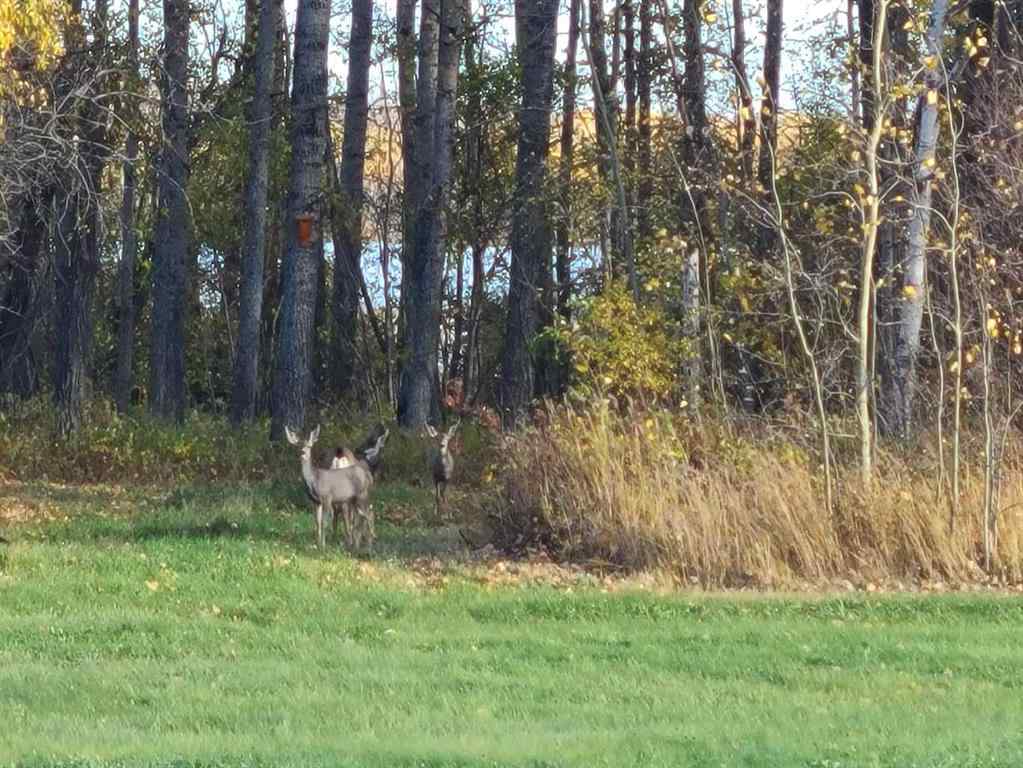 MLS® A2203465 - Unit #Lot 13 70539 RR250   in NONE Rural Greenview No. 16, M.D. of, Residential